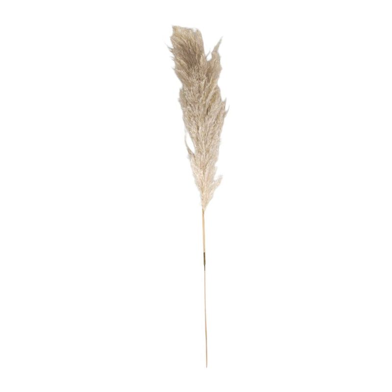 Rama Decorativa Pampa de 110 cm Color Beige