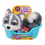 Peluche de Mini Cachorro con Cesta Little Live Pets - Presentación Surtida