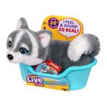 Peluche de Mini Cachorro con Cesta Little Live Pets - Presentación Surtida