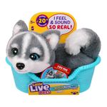 Peluche de Mini Cachorro con Cesta Little Live Pets - Presentación Surtida