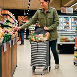 Carro de Compras de 2 Ruedas con Bolsa y Asa Ergonómica a Rayas Gris