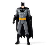 Figura de Acción DC Comics de 6 Plg Articulada - Presentación Surtida