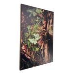 Cuadro Decorativo de Bosque Natural Vertical con Marco de 82 x 122 cm