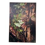 Cuadro Decorativo de Bosque Natural Vertical con Marco de 82 x 122 cm