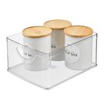 Organizador Apilable Transparente de 25.4 x 20.32 x 12.7 cm con Asas