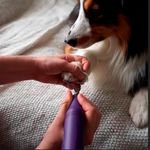 Limador de Uñas para Mascotas Eléctrico Andis EasyClip con 2 Velocidades de 13 Piezas Color Morado