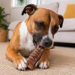 Snack Deshidratada para Perro Treat Aholic Tráquea de Res Natural 100 G