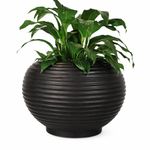 Maceta Redonda Bromelia de 26 x 24 cm para Interior y Exterior Color Negro