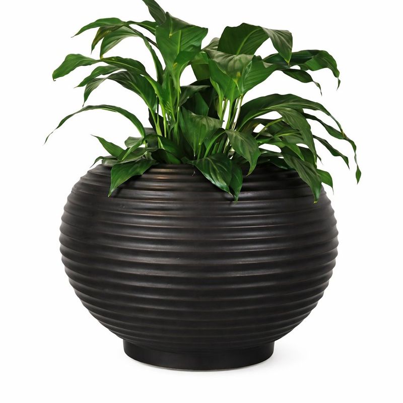 Maceta Redonda Bromelia de 26 x 24 cm para Interior y Exterior Color Negro