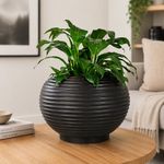 Maceta Redonda Bromelia de 26 x 24 cm para Interior y Exterior Color Negro