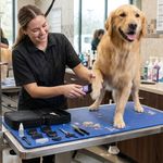 Recortadora para Mascotas Andis Easy Clip Cordless II Recargable con 12 Piezas Color Morado