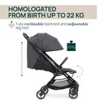 Silla de Paseo Compacta WE 2 con Toldo Ajustable, Respaldo Reclinable y Canastilla Gris