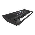 Teclado Electrónico Roland Arranger E-X50 61 Teclas Sensitivas con Bluetooth Color Negro