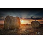 Televisor Smart QLED UHD 4K 70 Plg - Samsung
