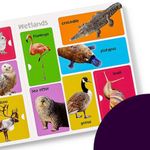 Libro Interactivo Infantil en Inglés First 101 Animal Words