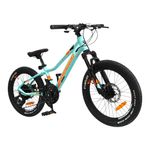 Bicicleta MTB 20 DMD-M 21S Alloy FDD Infantil/Juvenil Colores Surtidos