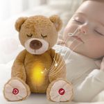 Oso Peluche DreamPal con Música y Grabación de Voz Color Café