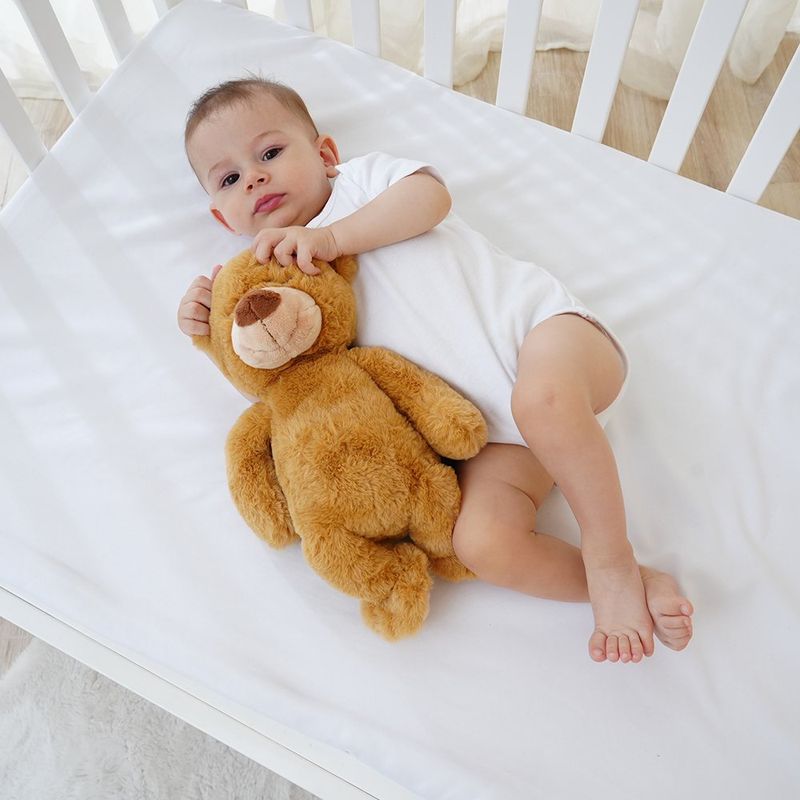 Oso Peluche DreamPal con Música y Grabación de Voz Color Café