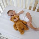 Oso Peluche DreamPal con Música y Grabación de Voz Color Café