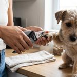 Cortaúñas para Perros y Gatos Color Gris