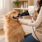 Secadora para Mascotas de 2 Velocidades y 3 Temperaturas
