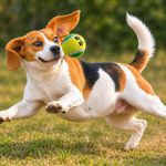 Pelotas de Tenis para Perro 2 Pzas Colores Surtidos