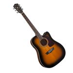 Guitarra Electroacústica Washburn Apprentice con Accesorios Color Tabaco Sunburst