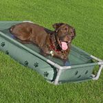 Piscina Elevada para Mascotas H2OGO! Con Lanzador de Pelotas y Aspersor mediana