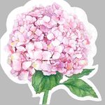 Set de 20 Servilletas 33 x 33 cm Diseño Hortensia Rosa
