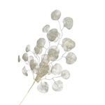 Pick Navideño de Hojas Lunaria con Tallo para Arreglos de 68 Cm Color Blanco