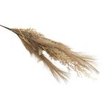 Rama Navideña Mixta de Pampas y Hojas Multicolor para Arreglos de 83 cm