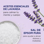 Gift de Bienestar Diario con Sal, Burbuja, Gel y Spray Aroma Lavanda
