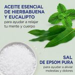 Set de Bienestar Diario Eucalipto y Menta con Sal Epsom y Cuidado Corporal, 4 Piezas