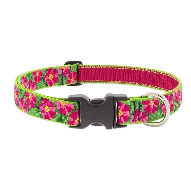 Collar Ajustable para Perro de Nylon Diseño Petunias de 12 a 20 Plg x 1 Plg Multicolor