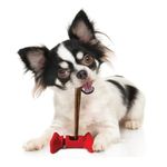 Juguete Portagolosina para Perro Treat Holder de 4.5 Plg Color Rojo