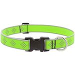 Collar Ajustable para Perro de Nylon Reflectante Diseño Diamante de 12 a 20 Plg x 1 Plg Verde