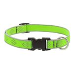 Collar Ajustable para Perro de Nylon Reflectante Diseño Diamante de 9 a 14 Plg x 3/4 Plg Verde