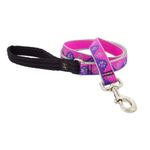 Correa para Perro de Nylon Reflectante Diseño Huellas de 6 Pies x 1 Plg con Mango Acolchado Rosa