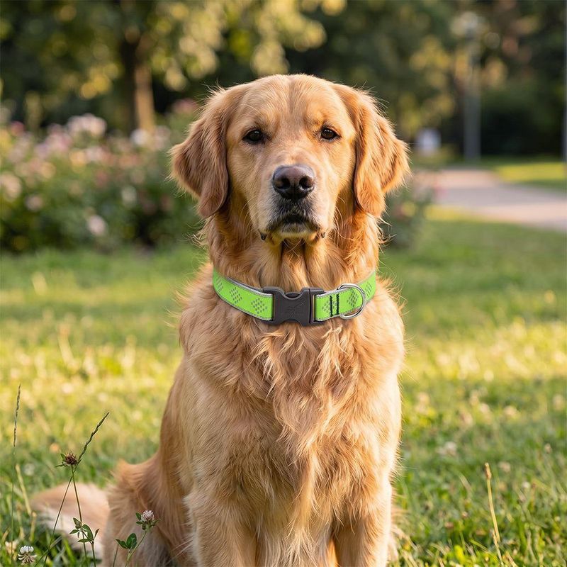 Collar Ajustable para Perro de Nylon Reflectante Diseño Diamante de 16 a 28 Plg x 1 Plg Verde