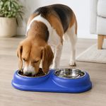 Plato Doble Inclinado de Acero Inoxidable para Mascota con Base Antiderrames Azul