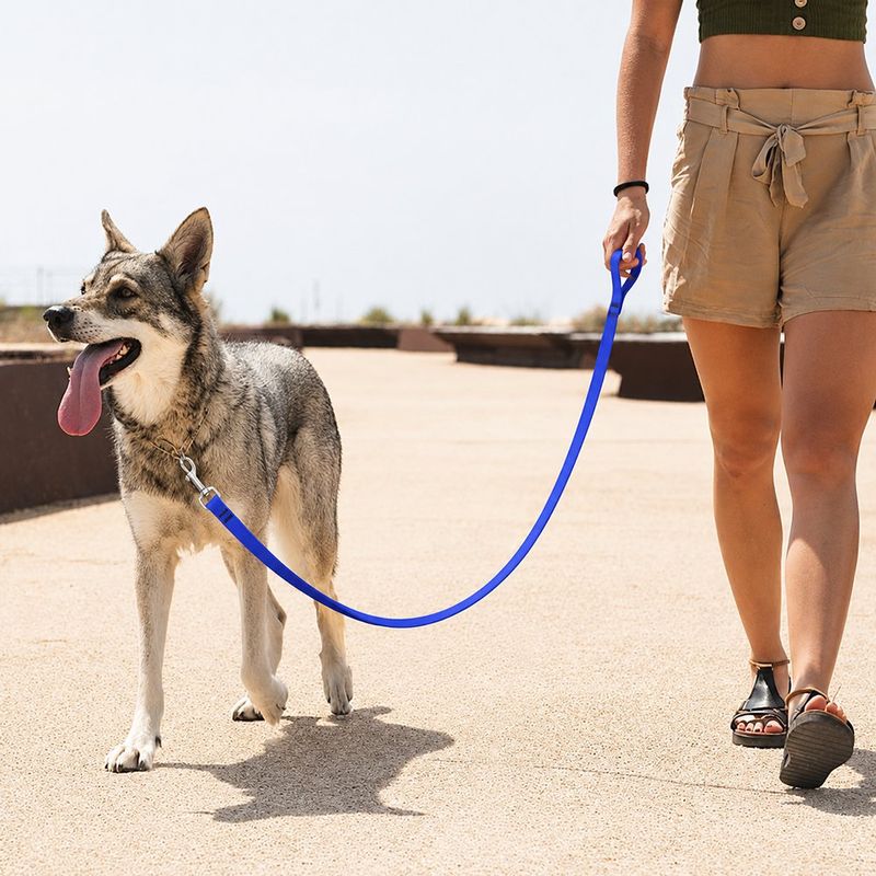 Correa para Perro de Biothane Impermeable de 6 Pies x 3/4 Plg Color Azul