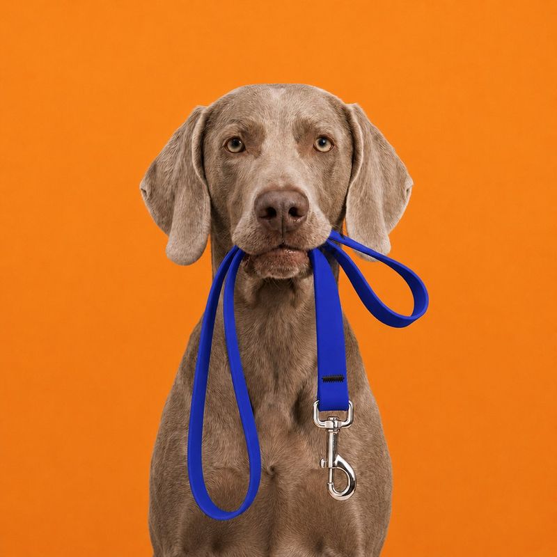 Correa para Perro de Biothane Impermeable de 6 Pies x 3/4 Plg Color Azul