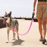 Correa para Perro de Nylon Reflectante Diseño Diamante de 6 Pies x 1 Plg con Mango Acolchado Rosa