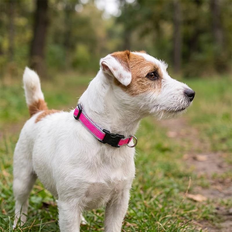 Collar Ajustable para Perro de Nylon Reflectante Diseño Diamante de 8 a 14 Plg x 1/2 Plg Rosa