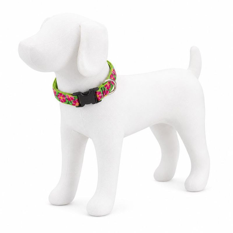 Collar Ajustable para Perro de Nylon Diseño Petunias de 16 a 28 Plg x 1 Plg Multicolor