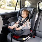 Silla de Carro Twist 2.0 Gris Giratoria 360° con Isofix y Arnés 5 Puntos Gris