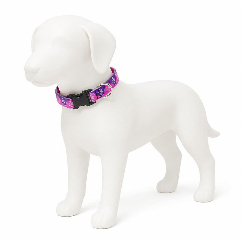 Collar Ajustable para Perro de Nylon Reflectante Diseño Huellas de 8 a 14 Plg x 1/2 Plg Rosa