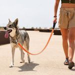 Correa para Perro de Nylon Reflectante Diseño Diamante de 6 Pies x 1 Plg con Mango Acolchado Naranja