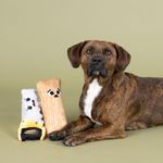 Set de 2 Peluches para Perro Diseño Serrucho y Madera con Sonido Multicolor
