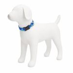 Collar Ajustable para Perro de Nylon Reflectante Diseño Huellas de 12 a 20 Plg x 1 Plg Azul